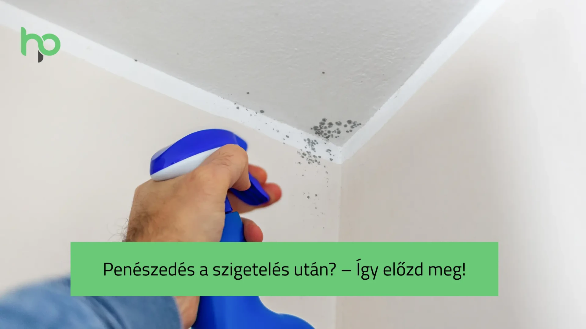 Penészedés a szigetelés után? – Így előzd meg!